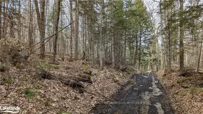 #pt Lt 15 0 Concession 6, Huntsville, On, P1h 2j2