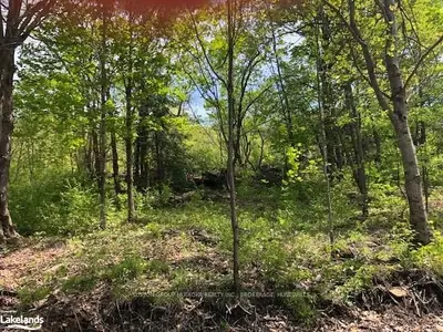 525 CLEARWATER LAKE Road, Huntsville, ON P0B 1L0