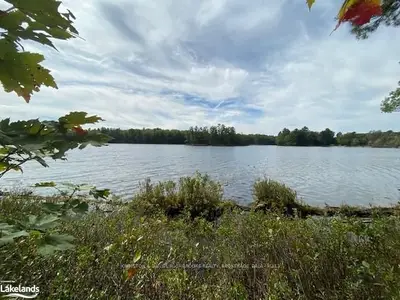 1251 Muskoka Road #38, Muskoka Lakes, On, P0c 1a0