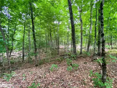 0 HWY 117, Lake of Bays, ON, P0B 1A0