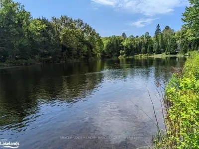 1371 Sherwood Forest Road, Bracebridge, On P1l 1x3
