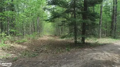 Lt12 Concession 7, Huntsville, On, P0b 1m0