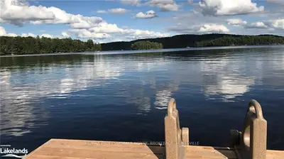 1330 PORT CUNNINGTON Road, Lake of Bays, ON P0A 1H0