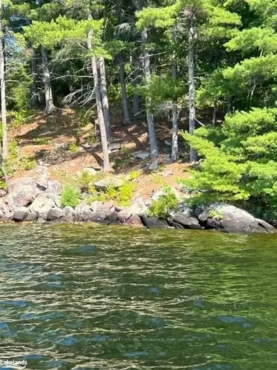 1161B ARMSTRONG POINT Road B, Muskoka Lakes, ON P0B 1J0