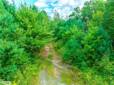 LOT 21 NINE MILE LAKE Road, McDougall, ON P2A 2W7