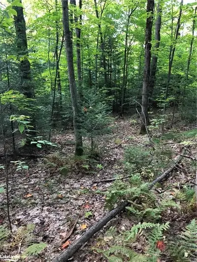 0 LINDSAY 'S HILL Road, Parry Sound Remote Area, ON P0H 2L0