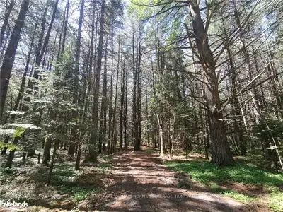 0 DWIGHT BEACH Road LT 2, Lake of Bays, ON P0A 1H0