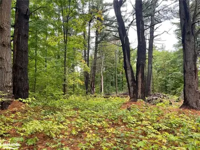 0 RANKIN LAKE Road Pt 2 PT Lt 133, Seguin, ON P2A 2W8