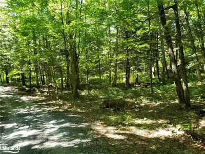 168 TALL TREES Drive, Huntsville, ON P1H 2T4