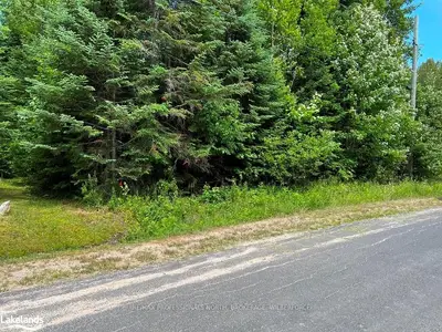 0 HOLMES Road, Highlands East, ON K0L 3C0