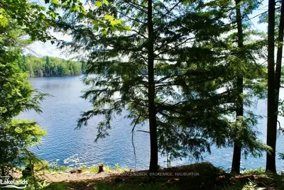 2018 BUSHWOLF LAKE Road, Dysart et al, ON K0M 1M0