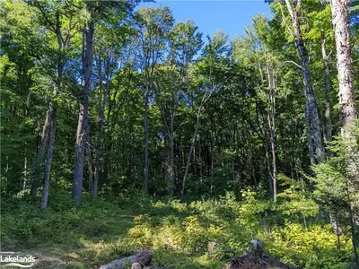 LOT 17 WINFIELD Court, Huntsville, ON P0B 1M0