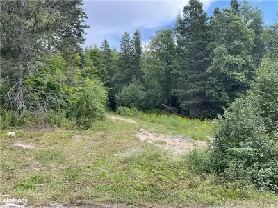 0 BENNETT Road, Parry Sound Remote Area, ON P0H 1J0