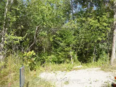 Lot 11 County Road 10 Road, Amaranth, ON L9W 0Z3