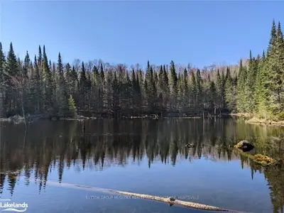 0 HUTCHESON Road, Lake of Bays, ON P1H 2J6