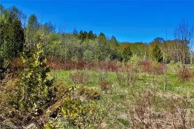 MAPLE GOLF Crescent, Northern Bruce Peninsula, ON N0H 2R0