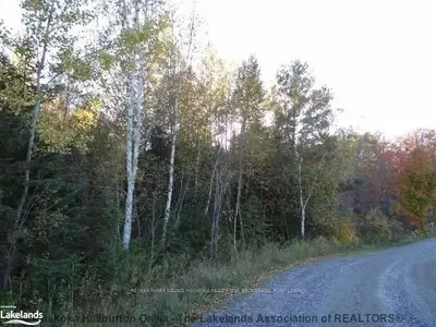 3 GEHRKES GOLDEN GLADE Road, Parry Sound Remote Area, ON P0H 1Y0