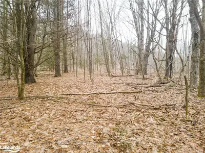 0 HENDERSONS Road, Minden Hills, ON K0M 2K0