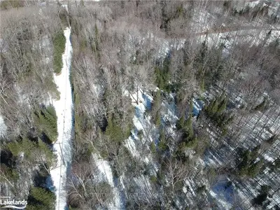 0 Bushwolf Lake Road, Dysart Et Al, On K0m 1s0