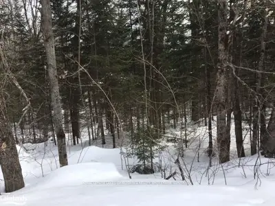 0 SOUTH HORN LAKE Road, Armour, ON P0A 1Z0