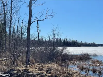 1433 PICKEREL JACK LAKE Road, Armour, ON P0A 1C0