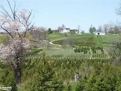 13809 Telephone Road, Cramahe, ON K0K 1S0