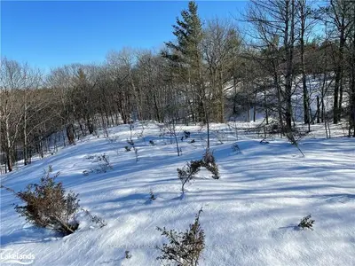 1766 MUSKOKA 169 Road, Gravenhurst, ON P1P 1R2