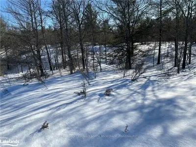 1754 MUSKOKA 169 Road, Gravenhurst, ON P1P 1R2