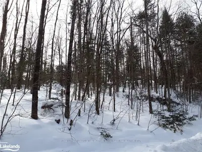 0 COUMBS Road, Highlands East, ON K0L 2Y0