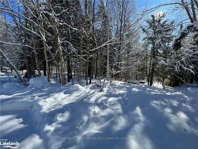 LT 121 DOE Trail, Huntsville, ON P1H 2J2