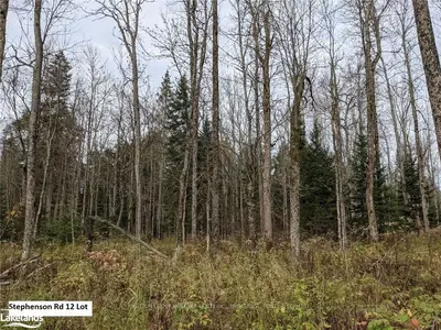 0 STEPHENSON 12 Road E, Huntsville, ON P1H 2J2