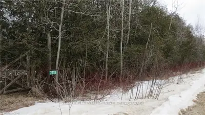 7218 Jones Baseline Road, Wellington North, On N0g 2k0