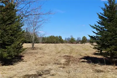 9193 Highway 6, Wellington North, On, N0g 1a0