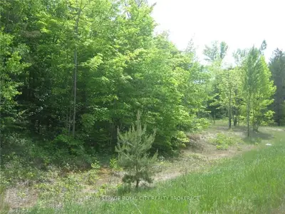 236 Oliphant Way, South Bruce Peninsula, On N0b 2t0