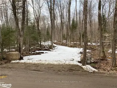 1557 WIGAMOG Road, Minden Hills, ON K0M 2K0