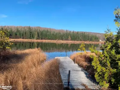 2859 IB&O RAIL Trail, Highlands East, ON K0L 2Y0