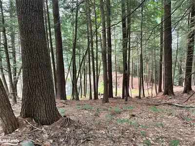0 GRYFFIN BLUFFS Lane Lot 22, Huntsville, ON P0B 1M0