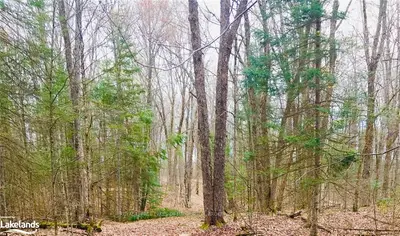 1805 CONTAU LAKE Road, Highlands East, ON K0M 1R0