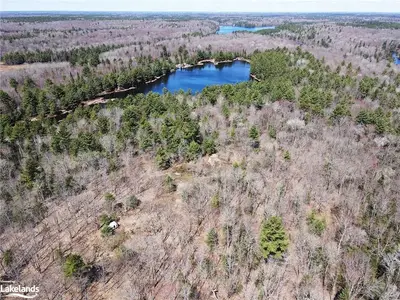 2299 MUSKOKA 117 Road, Lake of Bays, ON P0B 1A0
