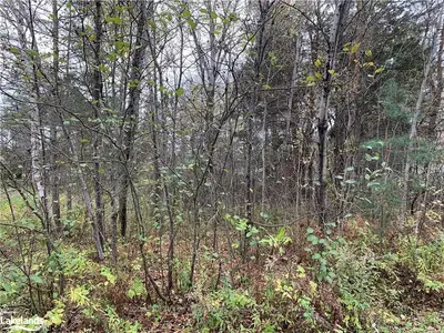 9 LANG Court, Sundridge, ON P0A 1Z0