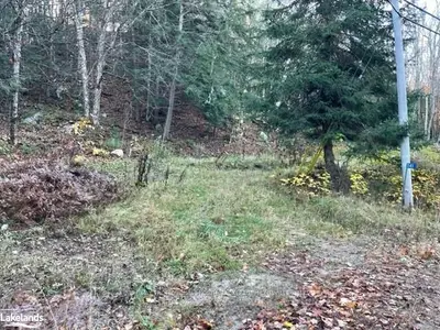 1141 MAIN Street, Lake of Bays, ON P0A 1E0