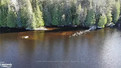 LOT 29 MINNICOCK LAKE Road, Highlands East, ON K0M 1S0