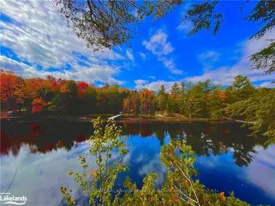 1329 FISH HATCHERY Road 34, Muskoka Lakes, ON P0B 1M0