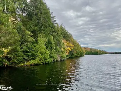 LT 21 TOAD , Parry Sound Remote Area, ON P0H 1Y0