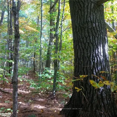 160 SUGAR LAKE Road, Seguin, ON P2A 0B6