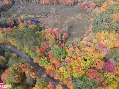 0 NORTH RIL LAKE Road, Lake of Bays, ON P0B 1A0
