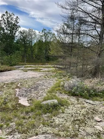 1614 HONEY HARBOUR Road, Georgian Bay, ON L0K 1S0