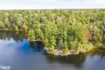 MOON RIVER Road, Muskoka Lakes, ON P0C 1H0