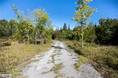153 NORTH MOUNTAIN Road, Kawartha Lakes, ON K0M 2B0