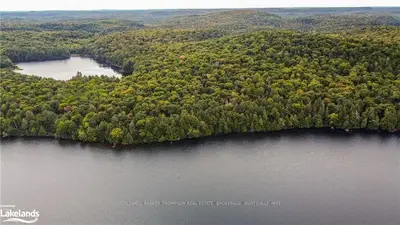 . CAMP LAKE Road, Lake of Bays, ON P1H 2J6